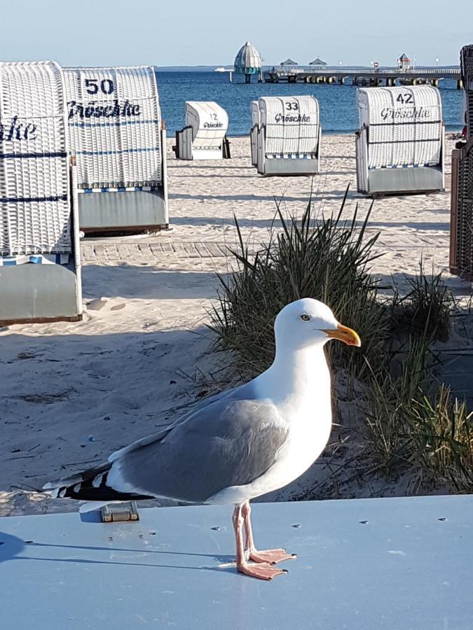 Ferien Auf Zwei Ebenen In Der Moewenkoje - Tierfreundlich Lejlighed Grömitz Eksteriør billede